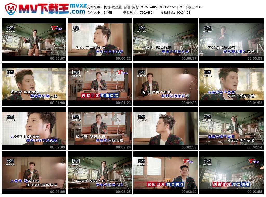 杨哲-欧豆蔻_台语_流行_MC502405